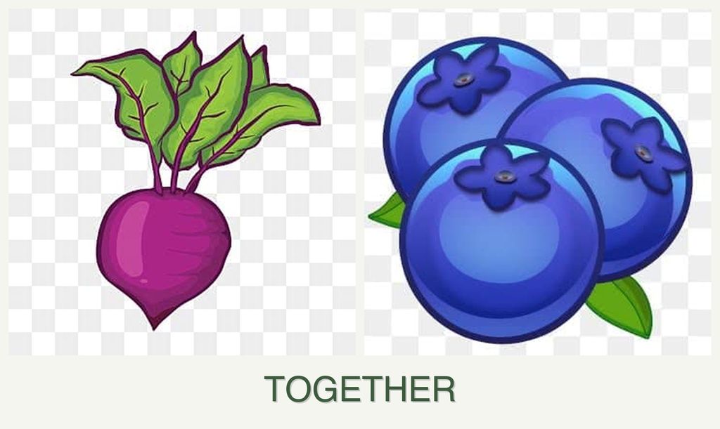 Can you plant beets and blueberries together?