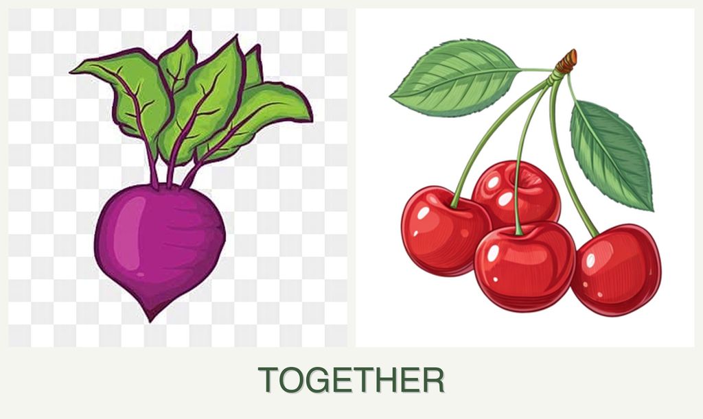 Can you plant beets and cherries together?