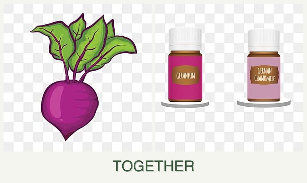 Can you plant beets and geraniums together?