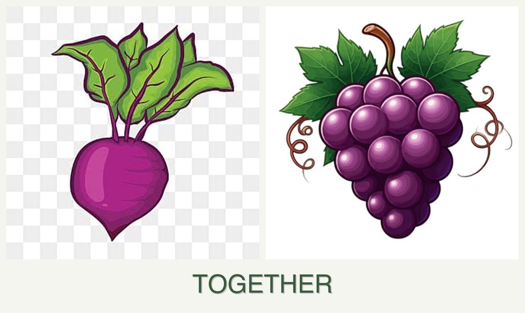 Can you plant beets and grapes together?