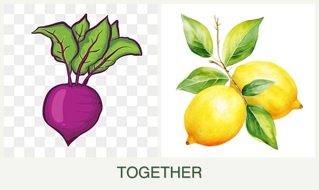 Can you plant beets and lemons together?