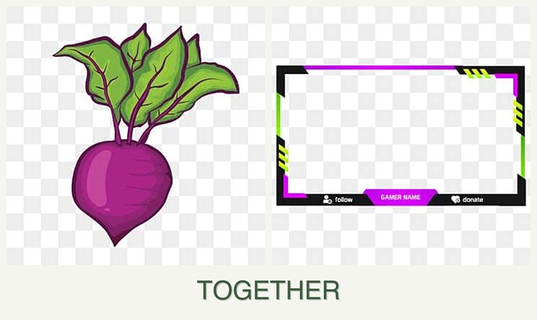 Can you plant beets and limes together?