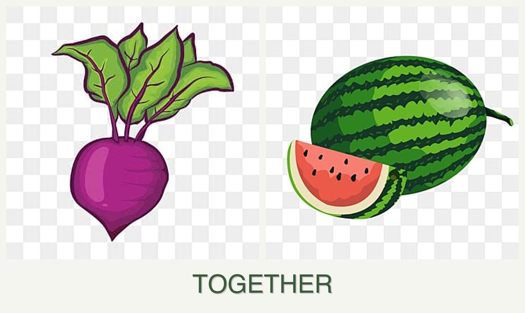 Can you plant beets and melons together?