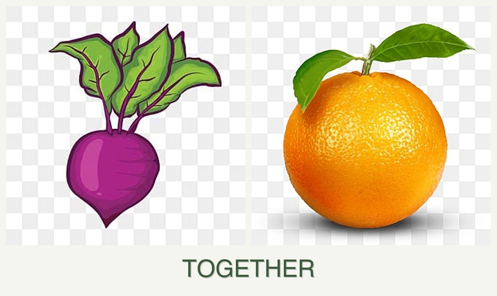 Can you plant beets and oranges together?