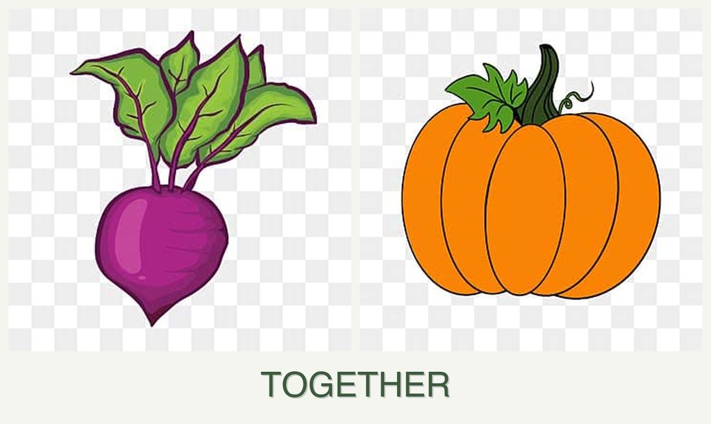 Can you plant beets and pumpkin together?