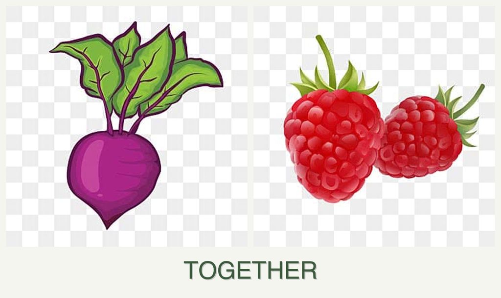 Can you plant beets and raspberries together?