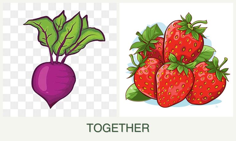 Can you plant beets and strawberries together?