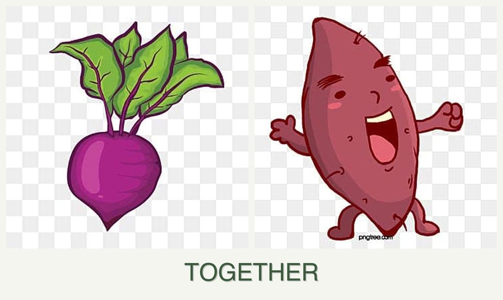 Can you plant beets and sweet potatoes together?