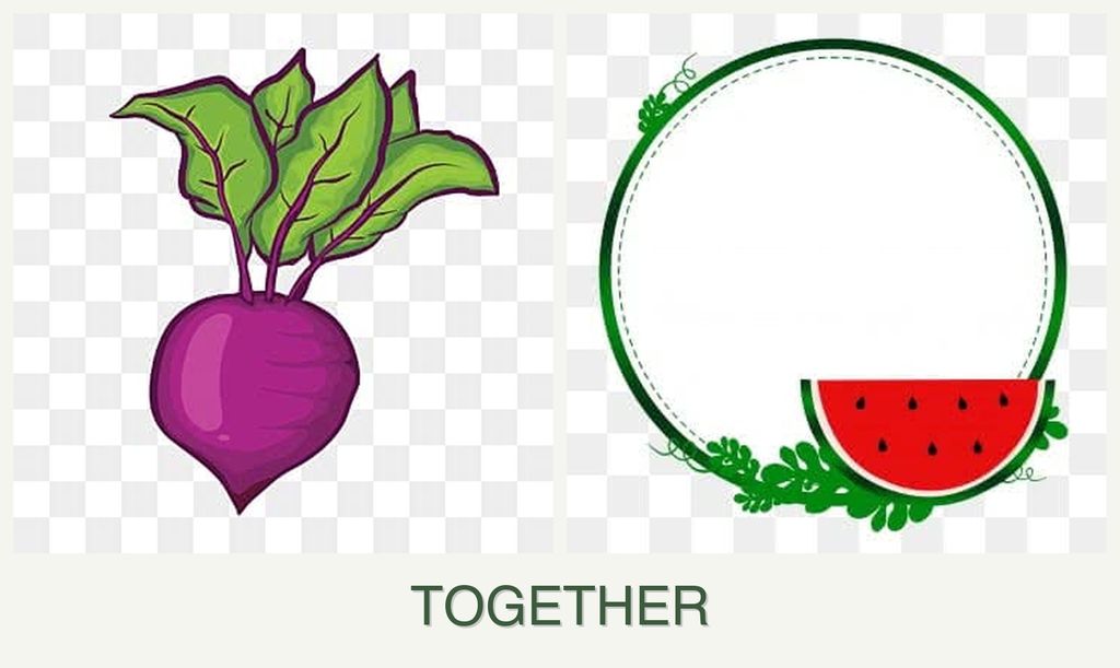 Can you plant beets and watermelons together?