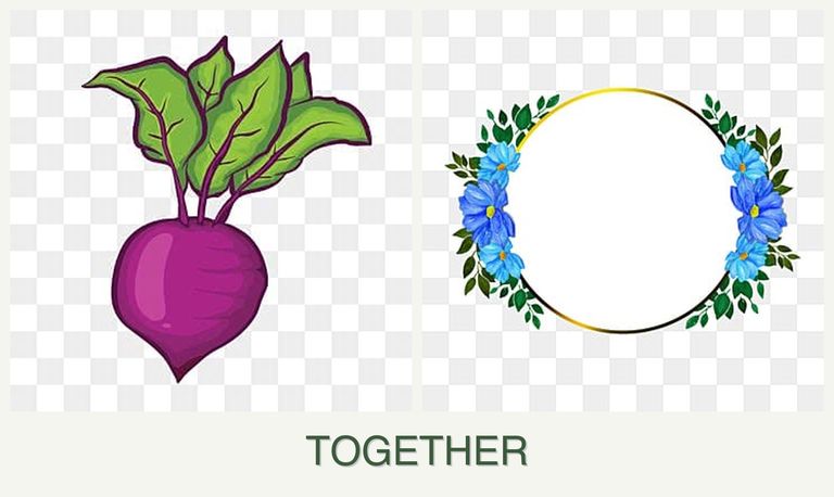 Can you plant beets and zinnias together?