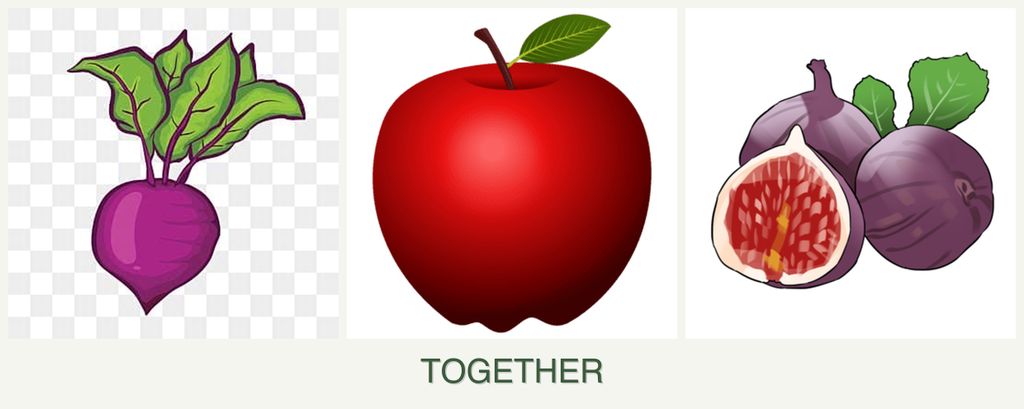 Can you plant beets, apples and figs together?