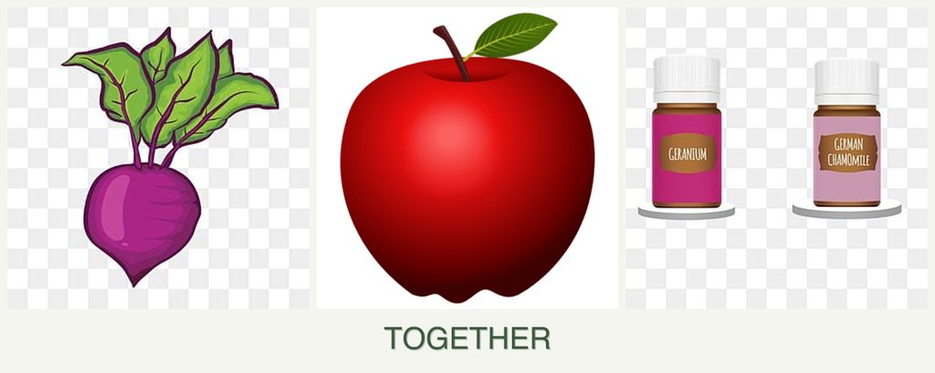 Can you plant beets, apples and geraniums together?