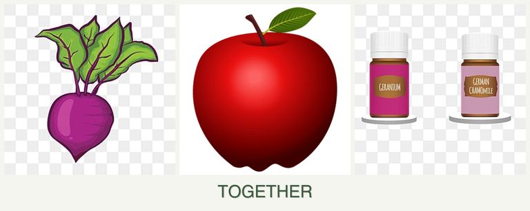 Can you plant beets, apples and geraniums together?