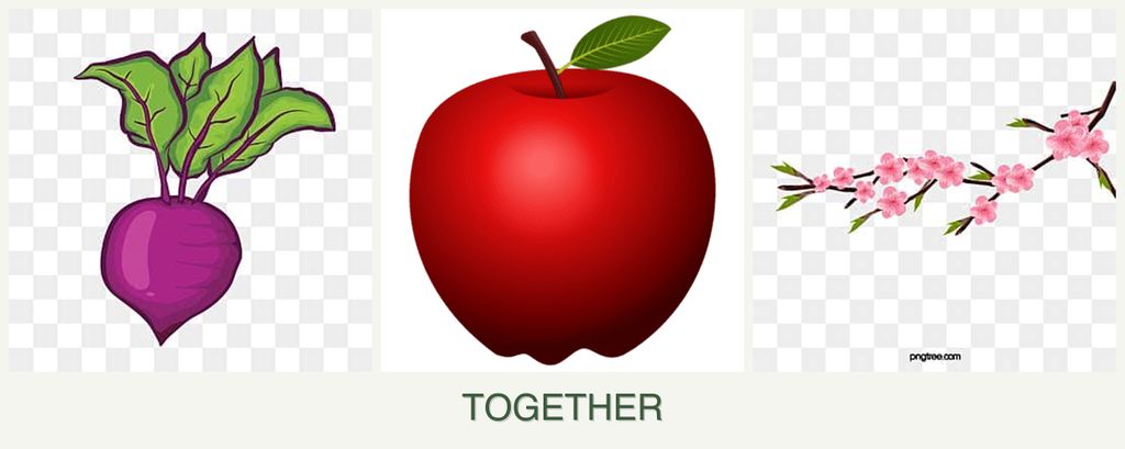 Can you plant beets, apples and peaches together?