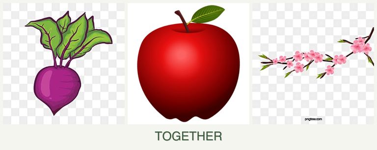 Can you plant beets, apples and peaches together?