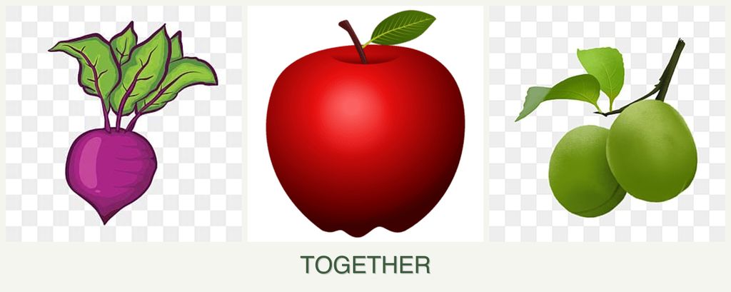 Can you plant beets, apples and plums together?