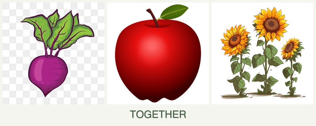 Can you plant beets, apples and sunflowers together?