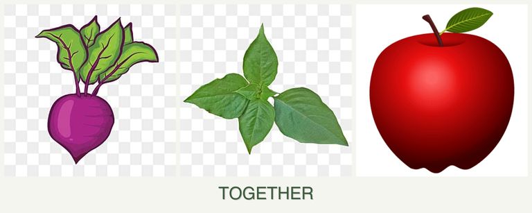 Can you plant beets, basil and apples together?