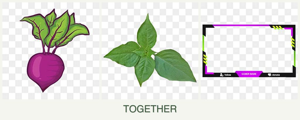 Can you plant beets, basil and limes together?