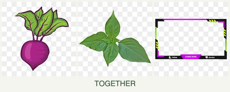 Can you plant beets, basil and limes together?
