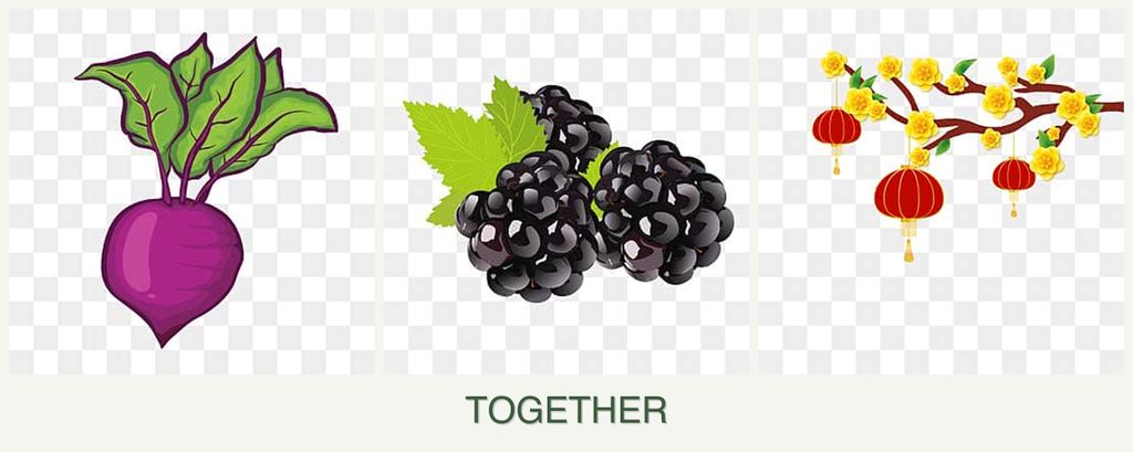 Can you plant beets, blackberries and apricots together?