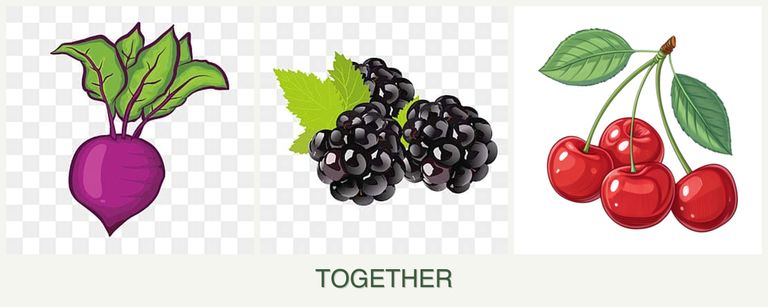 Can you plant beets, blackberries and cherries together?