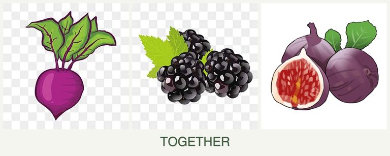 Can you plant beets, blackberries and figs together?