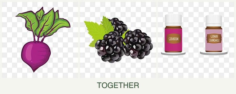 Can you plant beets, blackberries and geraniums together?