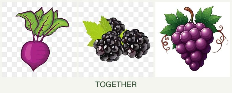 Can you plant beets, blackberries and grapes together?