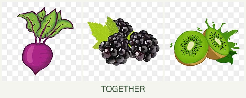 Can you plant beets, blackberries and kiwi together?