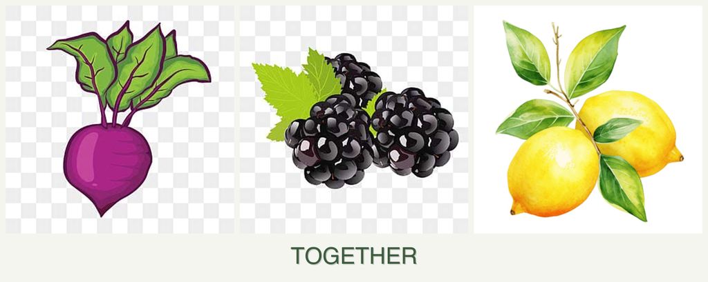 Can you plant beets, blackberries and lemons together?