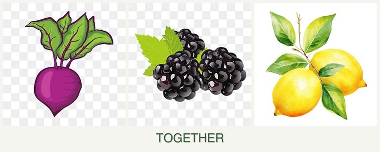 Can you plant beets, blackberries and lemons together?