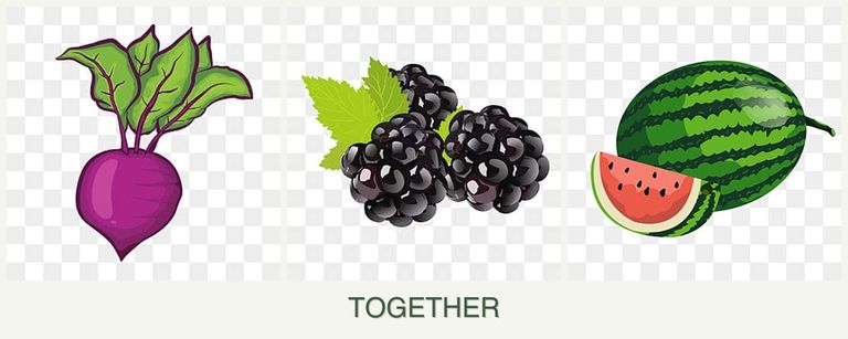 Can you plant beets, blackberries and melons together?