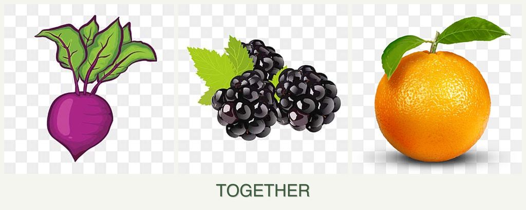 Can you plant beets, blackberries and oranges together?