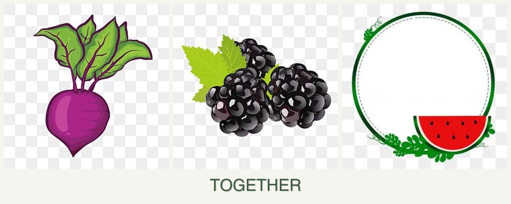 Can you plant beets, blackberries and watermelons together?