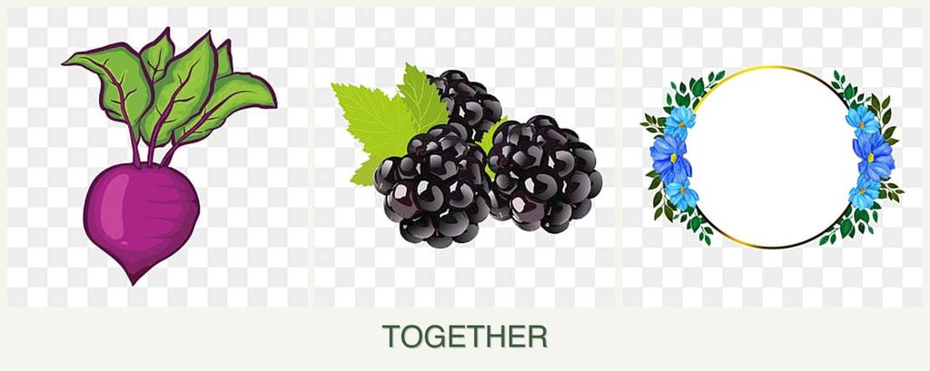 Can you plant beets, blackberries and zinnias together?
