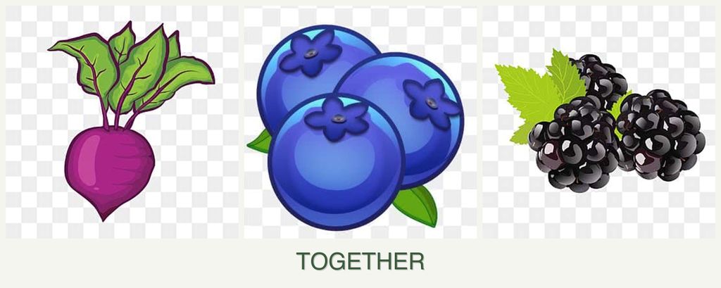 Can you plant beets, blueberries and blackberries together?