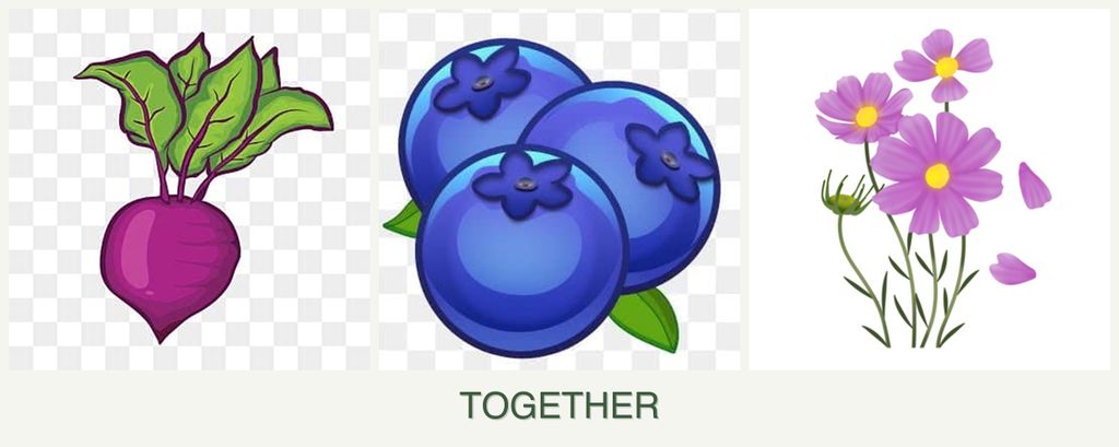 Can you plant beets, blueberries and cosmos together?