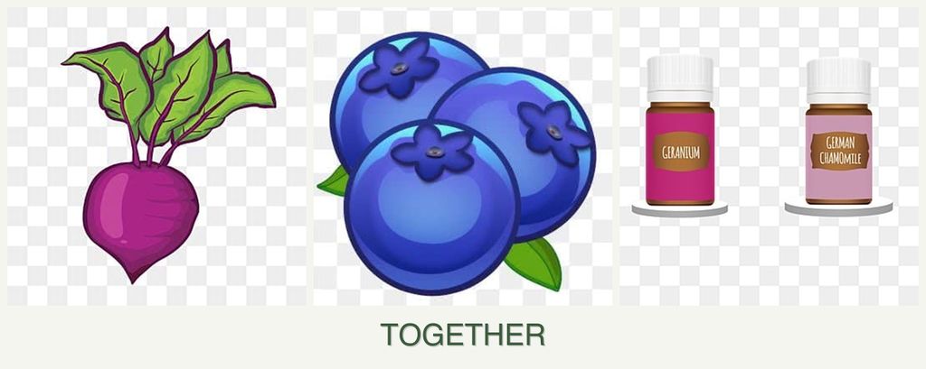 Can you plant beets, blueberries and geraniums together?