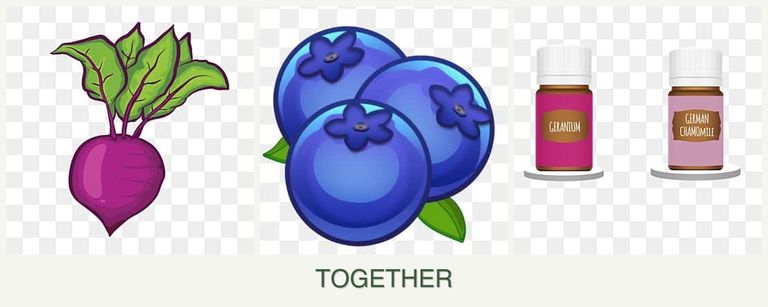 Can you plant beets, blueberries and geraniums together?