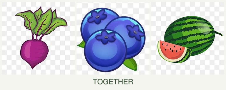 Can you plant beets, blueberries and melons together?