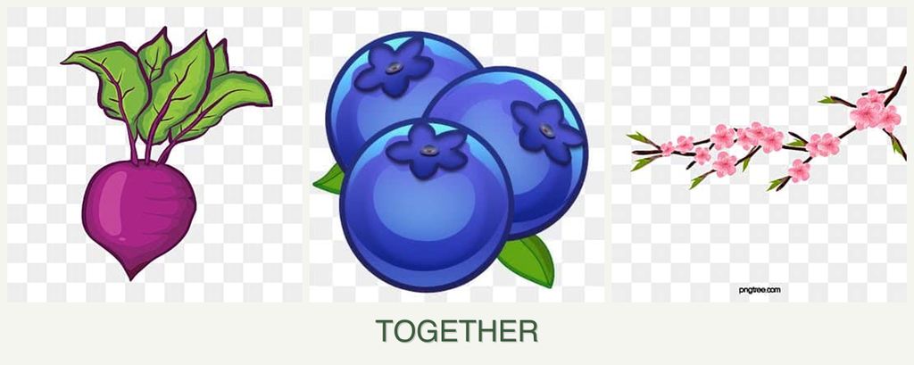 Can you plant beets, blueberries and peaches together?