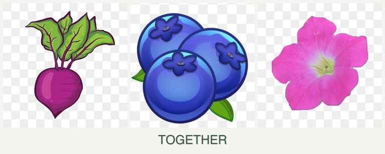 Can you plant beets, blueberries and petunias together?