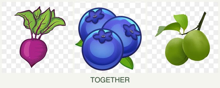 Can you plant beets, blueberries and plums together?