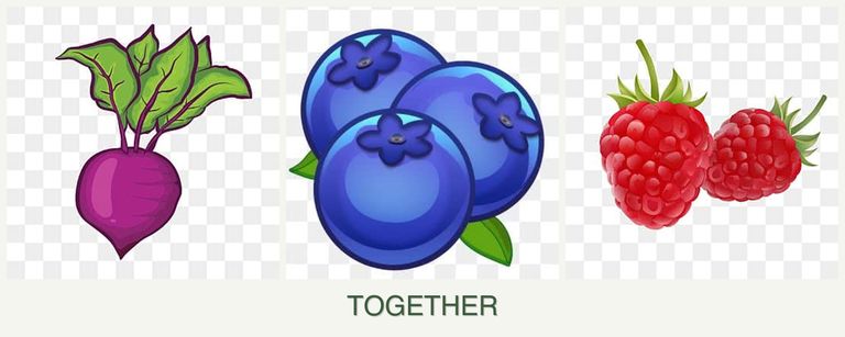 Can you plant beets, blueberries and raspberries together?