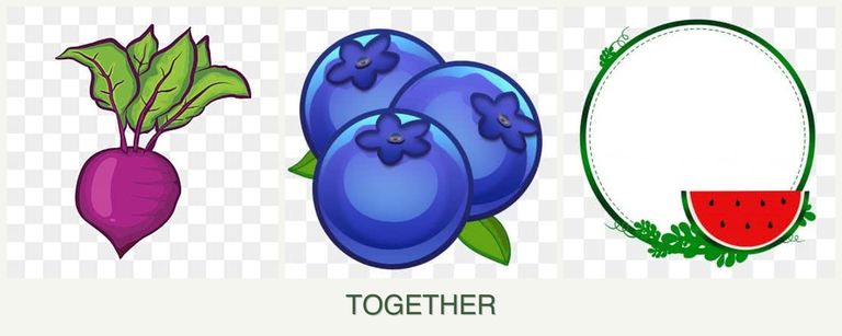 Can you plant beets, blueberries and watermelons together?