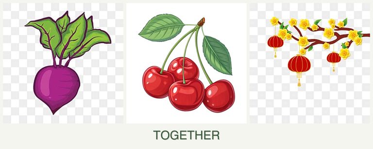 Can you plant beets, cherries and apricots together?