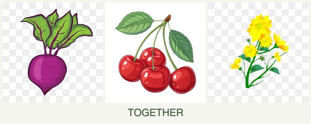 Can you plant beets, cherries and calendula together?