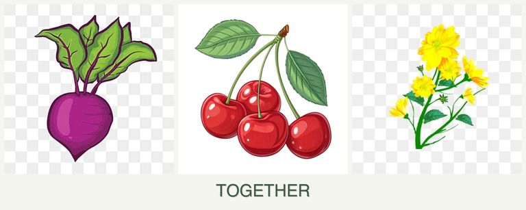 Can you plant beets, cherries and calendula together?