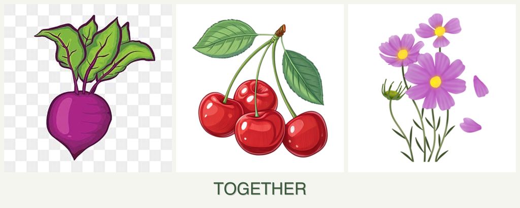 Can you plant beets, cherries and cosmos together?